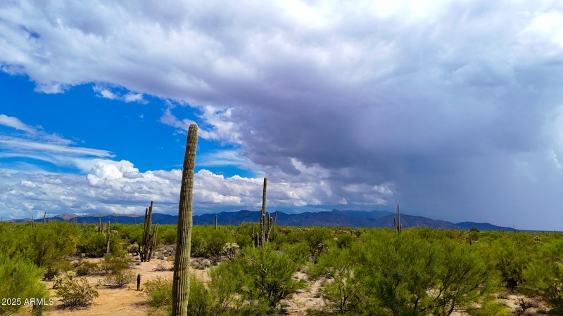 dji_fly_20250927_123446_0803_17592850158