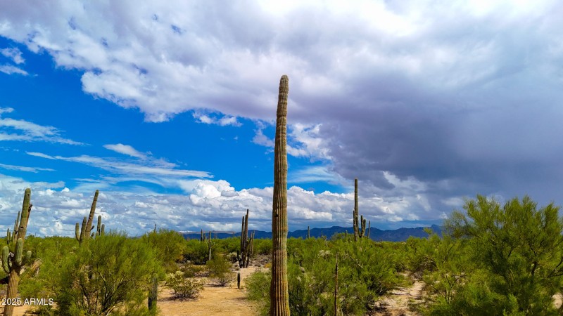 dji_fly_20250927_123444_0802_17592850162