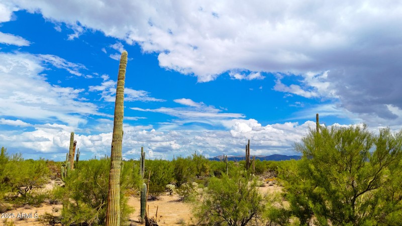 dji_fly_20250927_123440_0801_17592850164