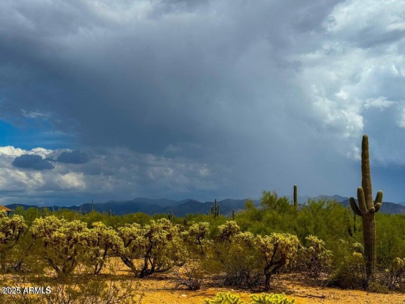 20251001054137355279000000-o