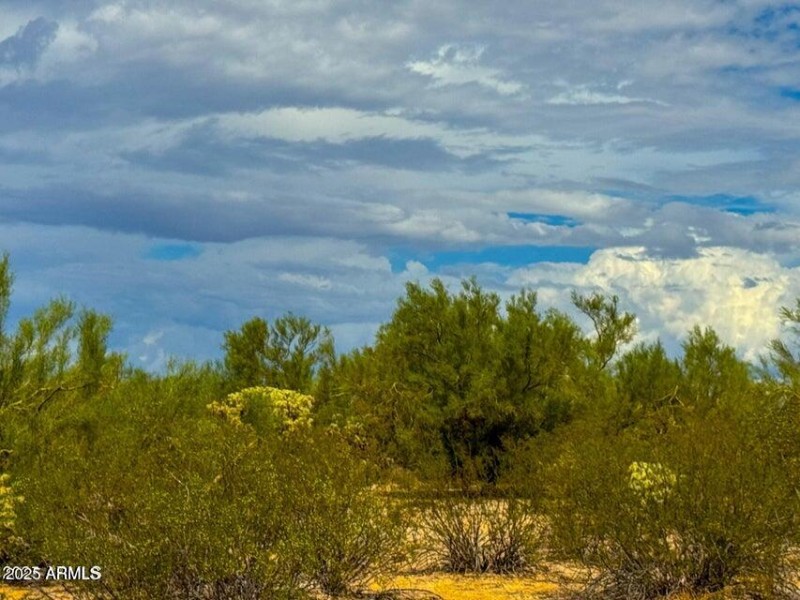 20251001054240581652000000-o