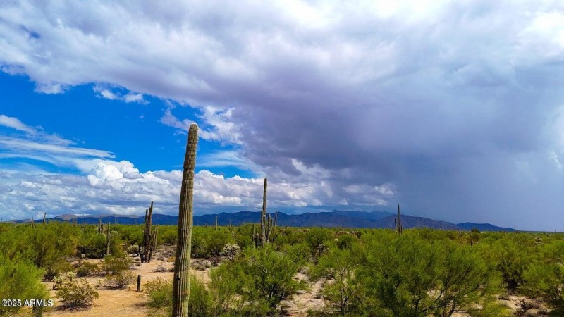 20251001055122023938000000-o