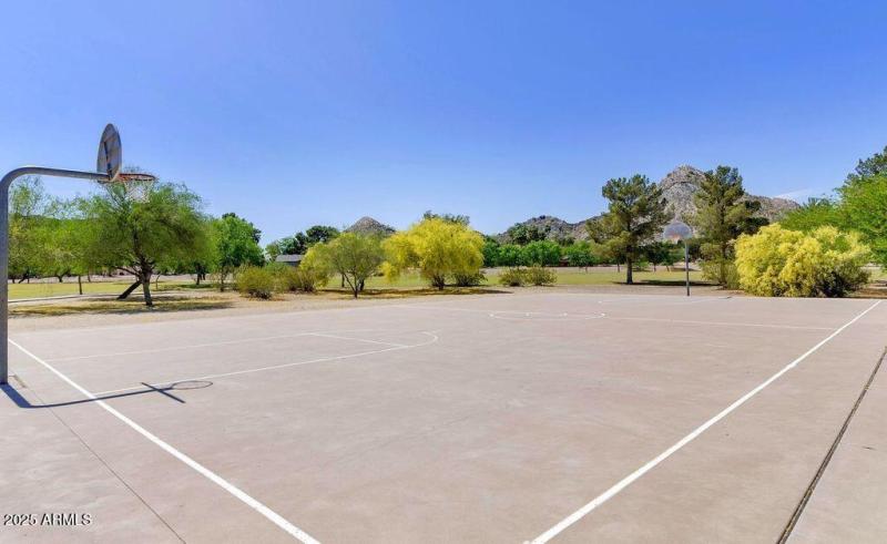 BASKETBALL COURT