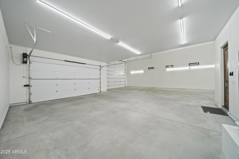 Lupine Ln Reshoot 00014