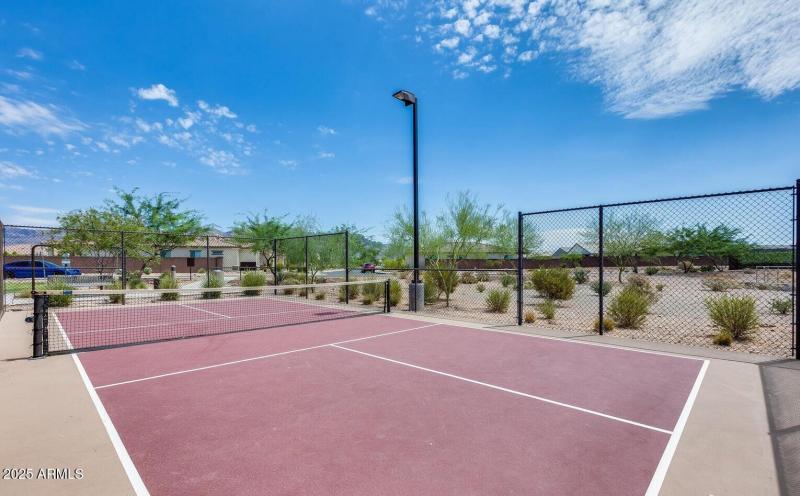 Pickleball Court