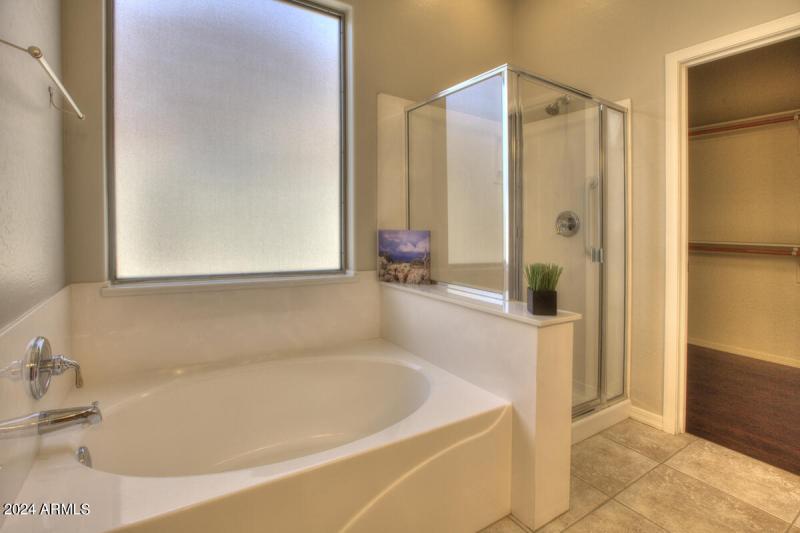 Master Tub and Shower