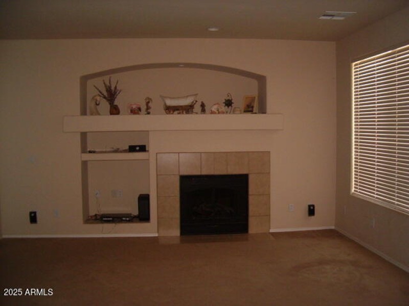 Fire Place in family room