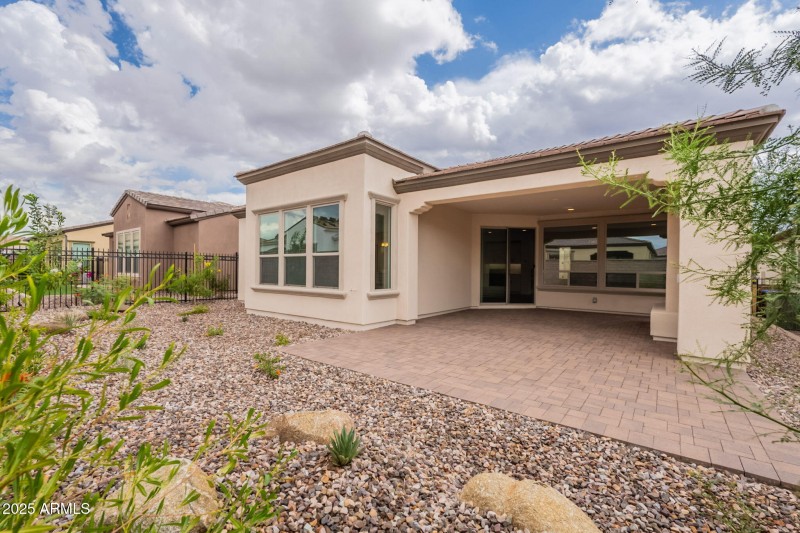 36-web-or-mls-Bittercress-36