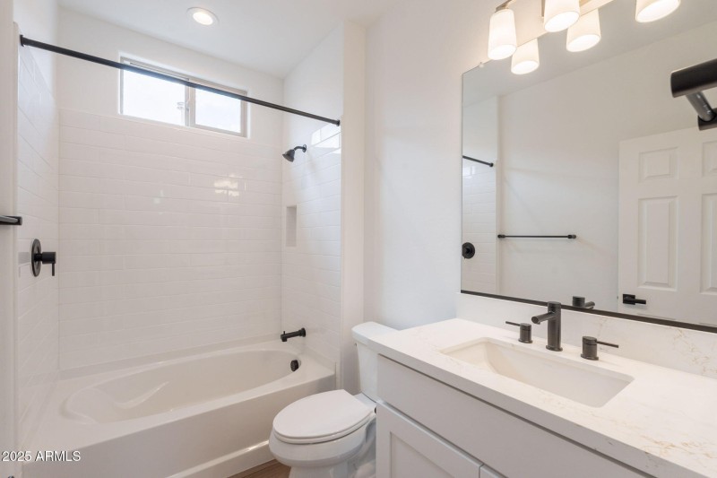 24-web-or-mls-Bittercress-24