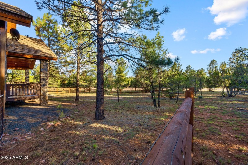 2758JaguarCir-Heber-AZ-33