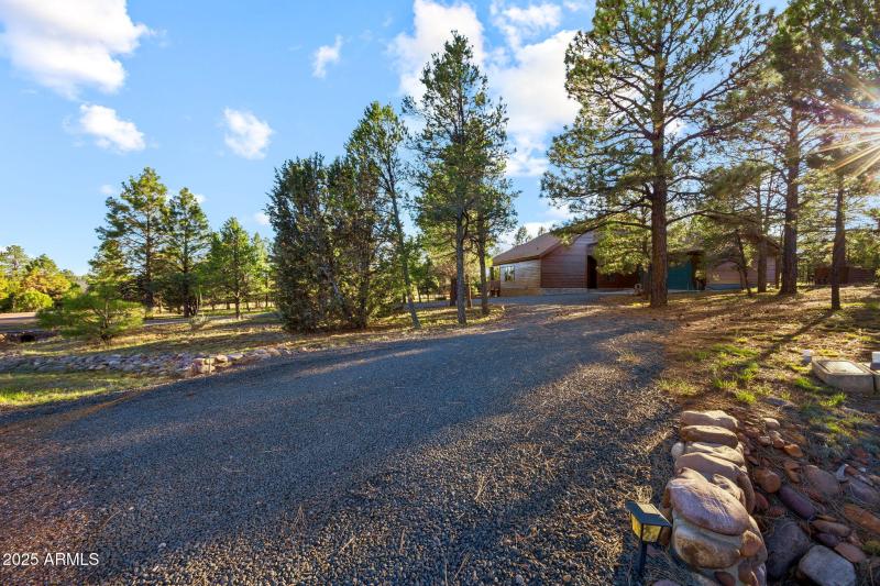 2758JaguarCir-Heber-AZ-36