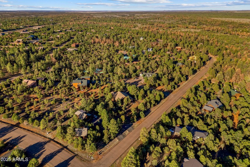 2758JaguarCir-Heber-AZ-40