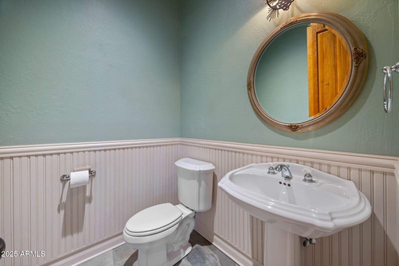 2758JaguarCir-Heber-AZ-13