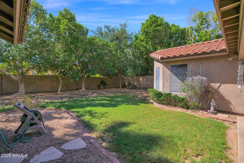 1701 Springfield - 29Backyard