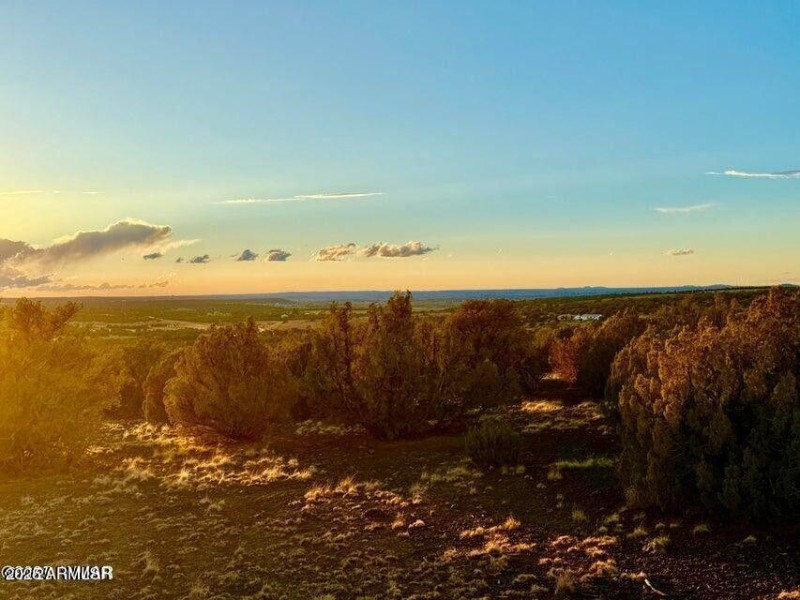 20250926072059971417000000-o