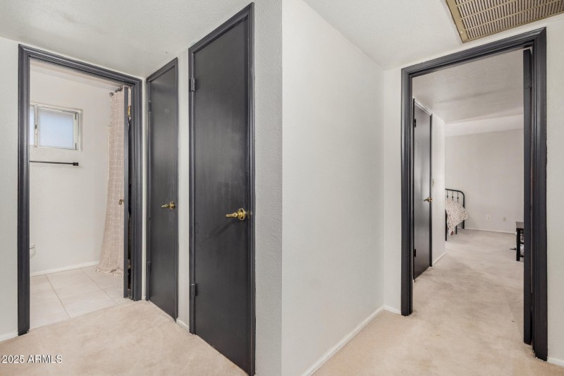 Guest Bath and Hall Storage