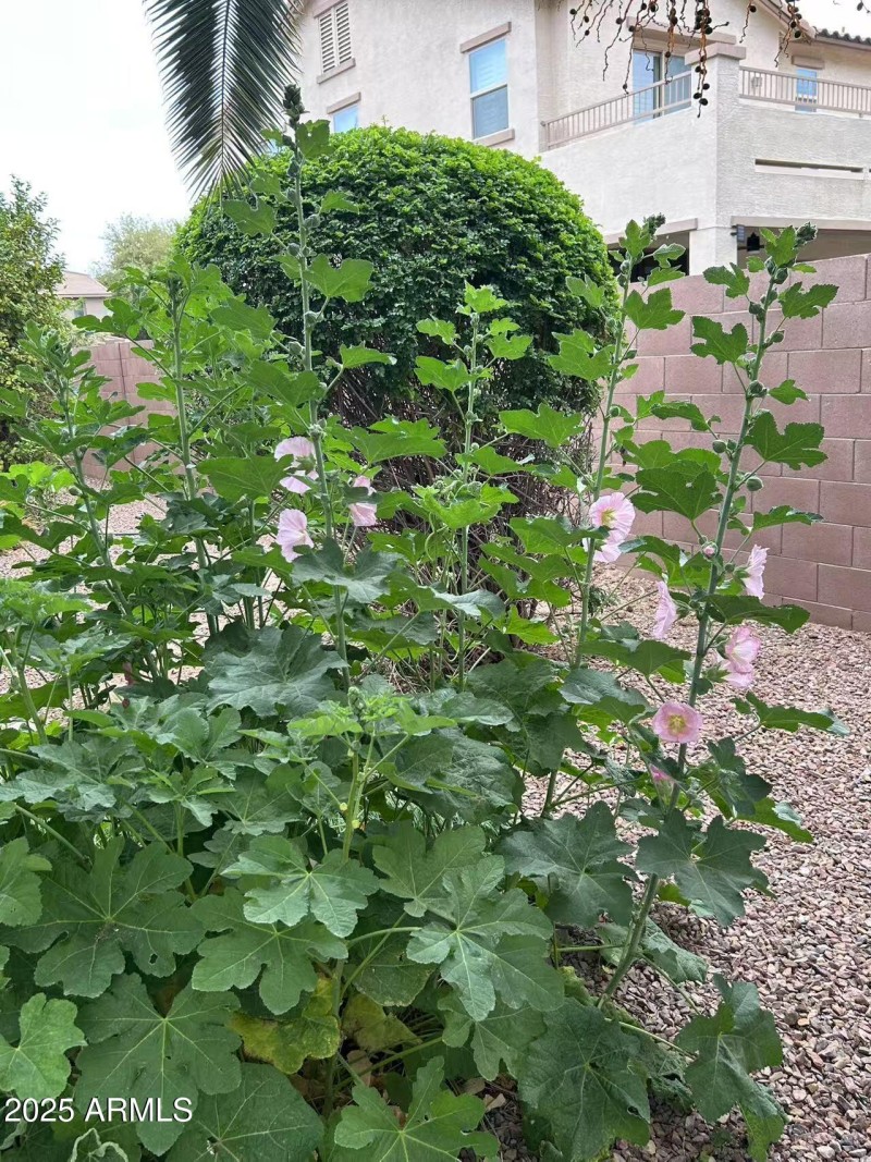 Image_20250420183039