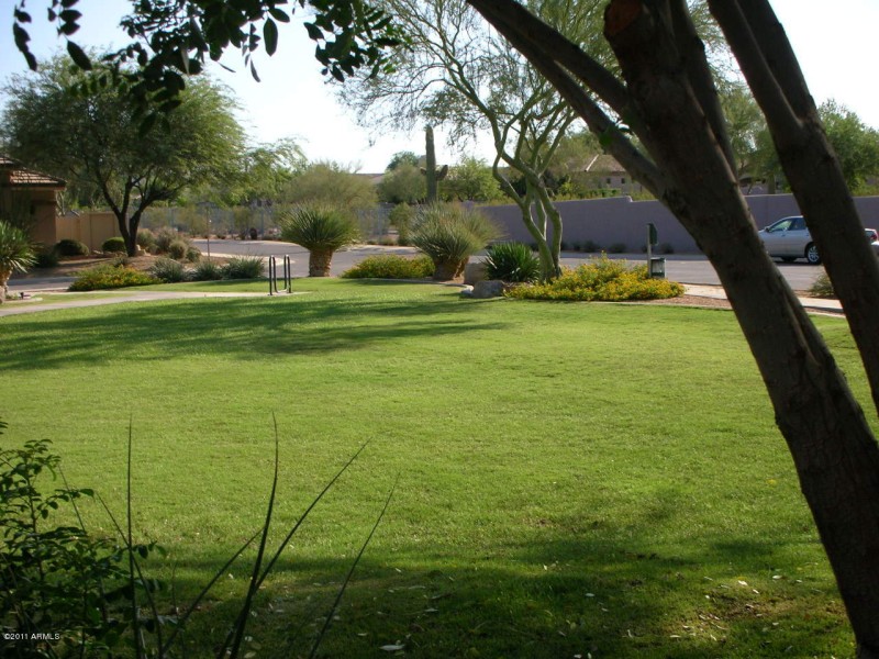 PLAY AREA PARK