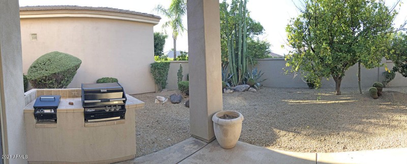 backyard02