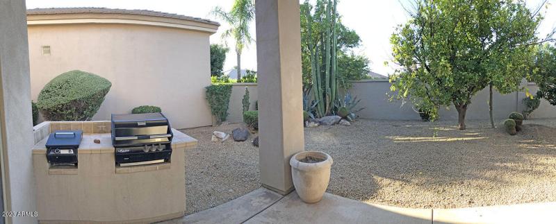 backyard02