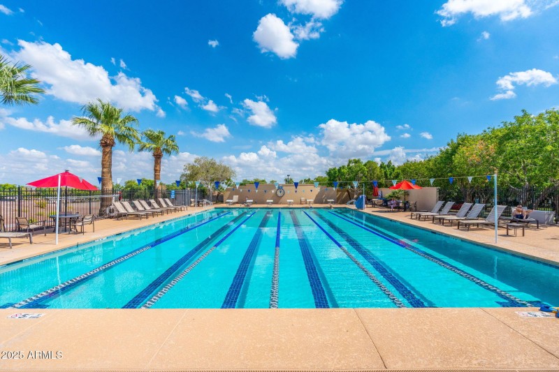 Lap Pool - Center on Main