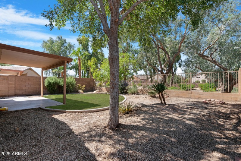 Backyard 4