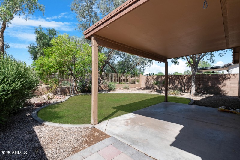 Backyard 5
