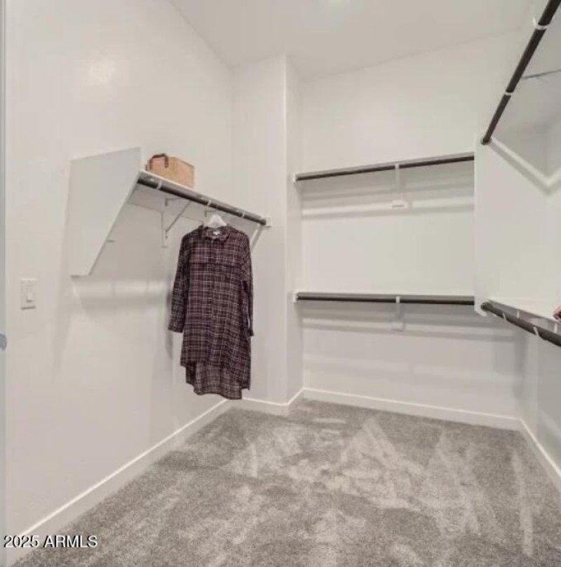 Owners Walk in Closet