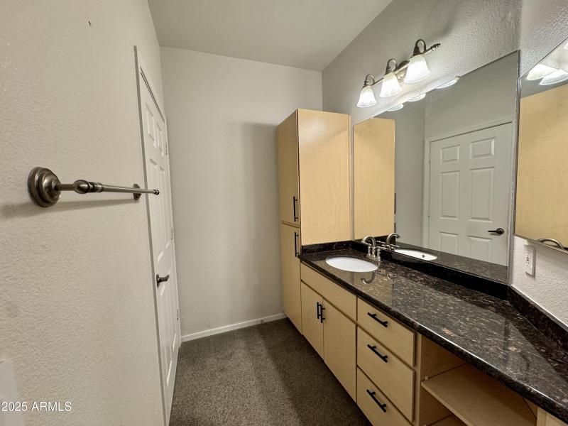 Master Bathroom Sink