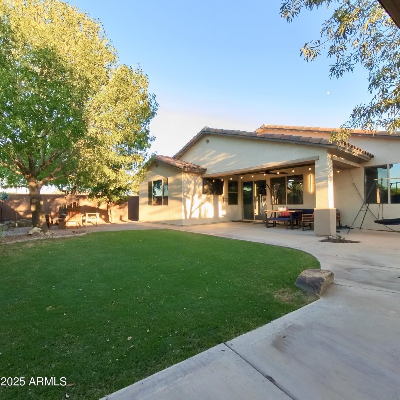 Backyard (well manicured grass)