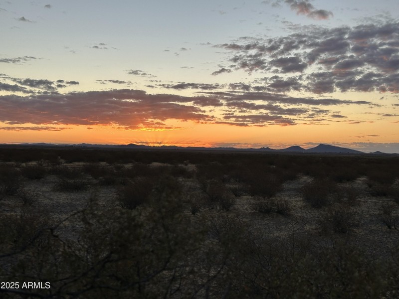 Desert Sunset