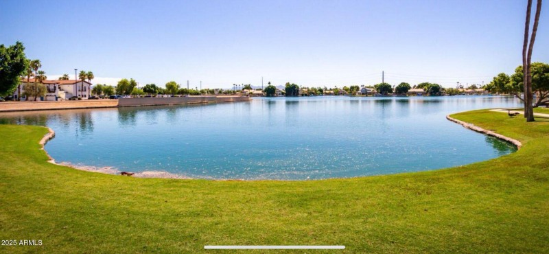 grass and lake