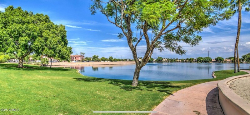 lake and tree