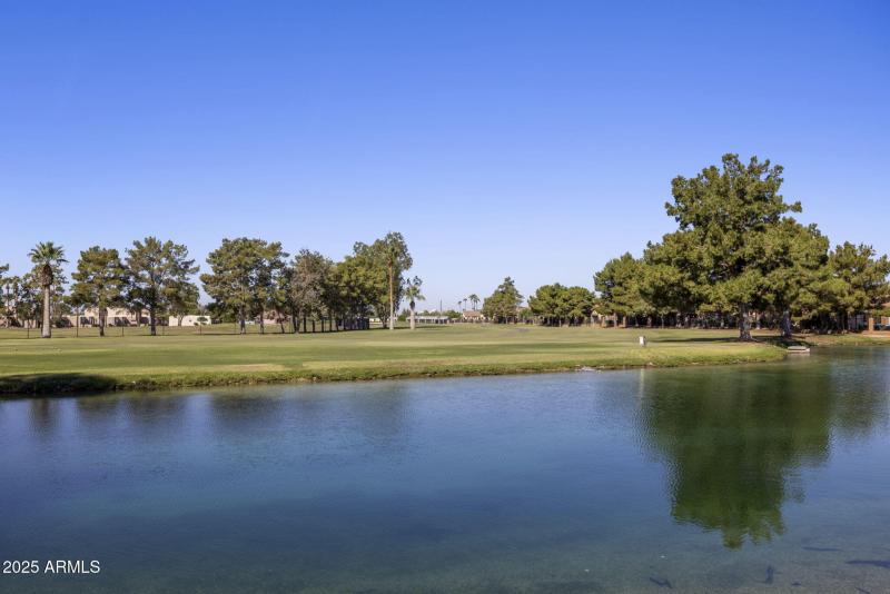 2-web-or-mls-IMG_2685