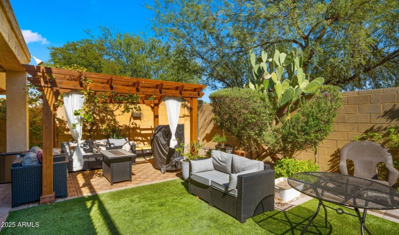 grape vine covered pergola!