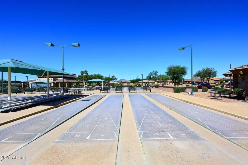 Shuffleboard Lanes