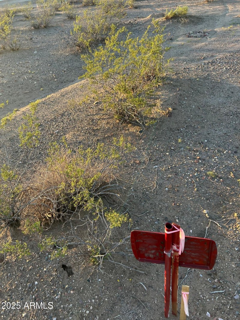 WhatsApp Image 2025-10-02 at 7.03.28 PM