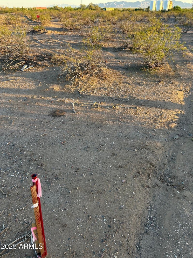 WhatsApp Image 2025-10-02 at 7.03.27 PM