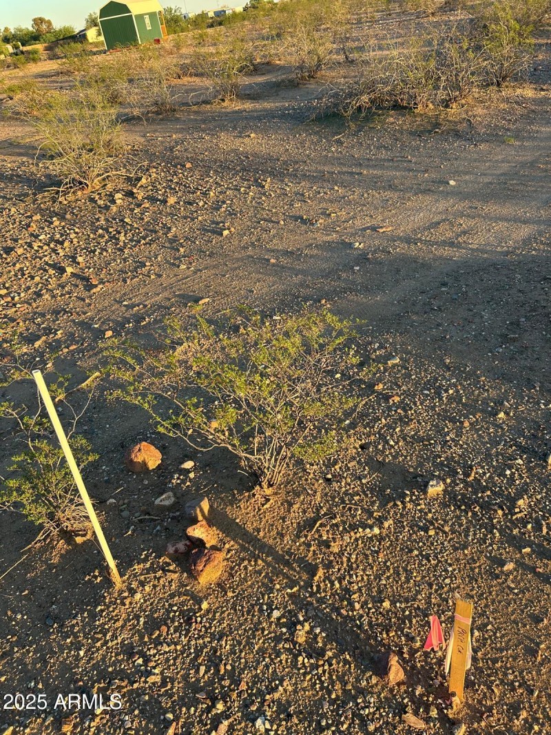 WhatsApp Image 2025-10-02 at 7.03.27 PM