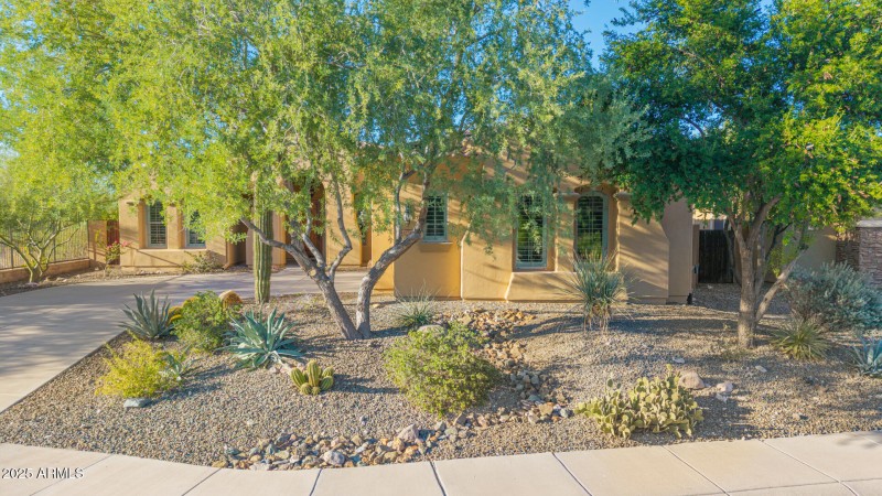 52 - Blackstone Drone