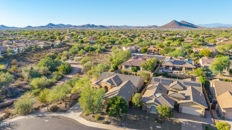 65 - Blackstone Drone