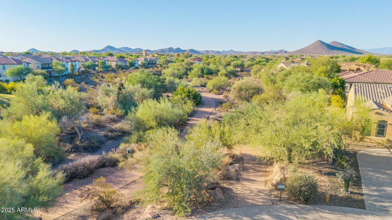 70 - Blackstone Drone