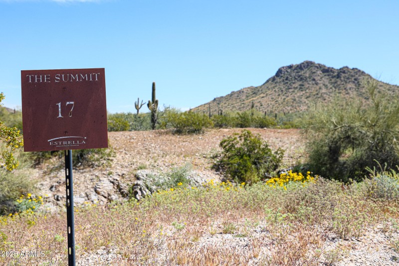 Estrella 9655 S San Marcos E - Lot 17