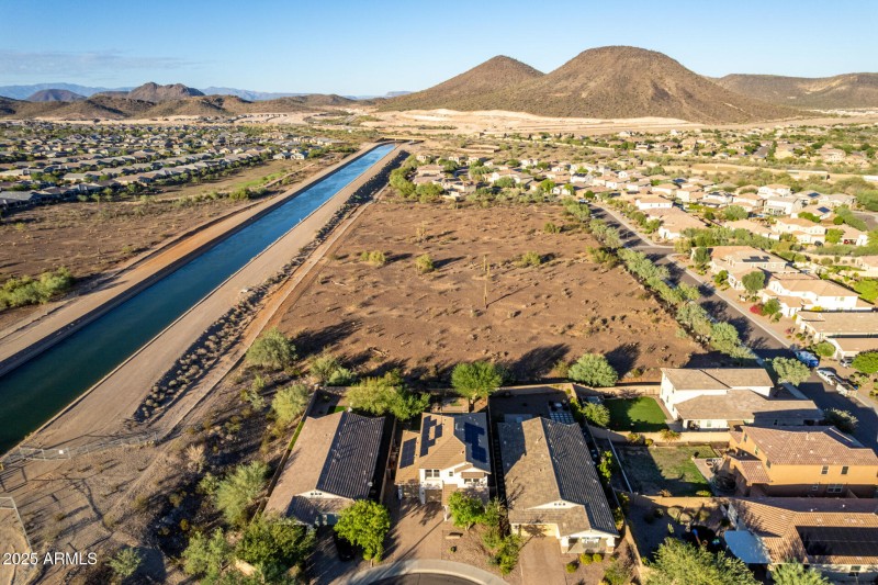 64 Copper Leaf Aerials