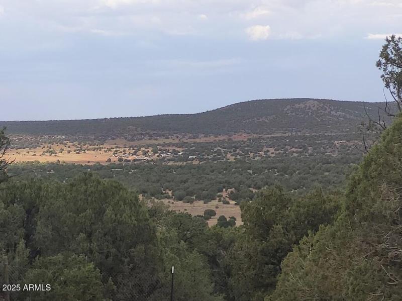 20250603_165338 Back Porch view