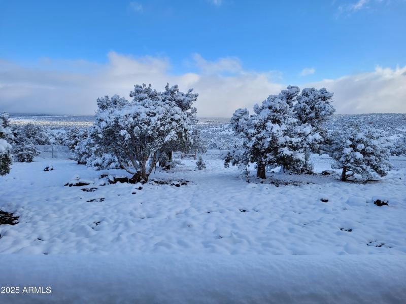 20250419_070340 View Backyard