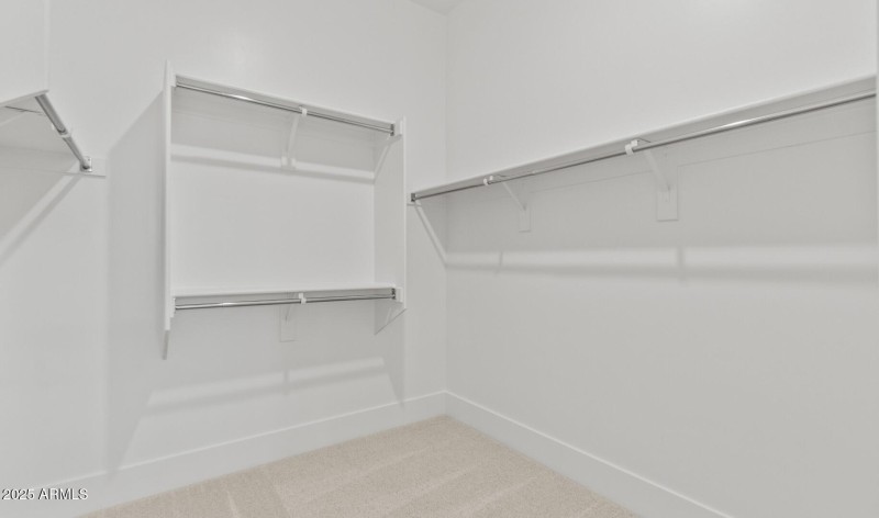 FSVV Lot #46 Primary WIC (Large)