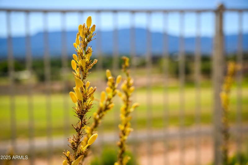 520 S Camino De Encanto-27