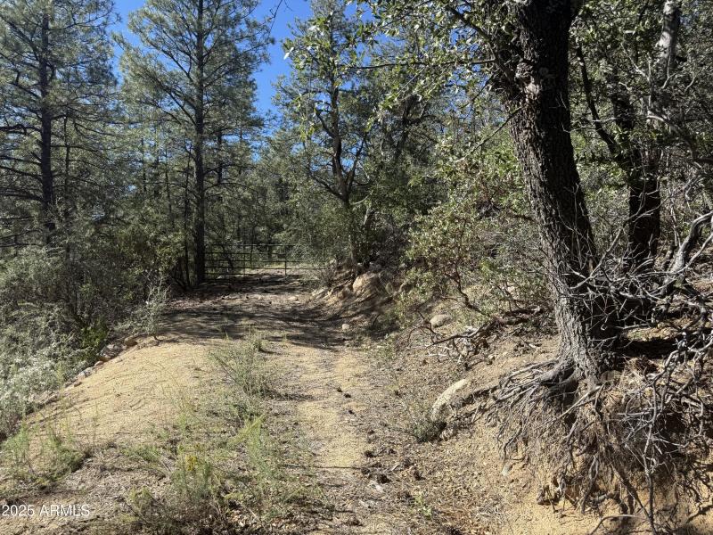 Road to building area