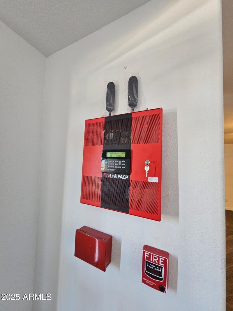 WhatsApp Image 2025-10-02 at 8.38.01 AM